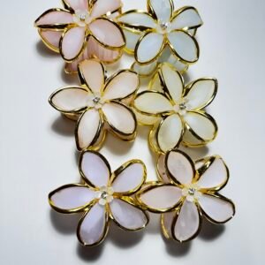 Alternative view of Piranha flor 9