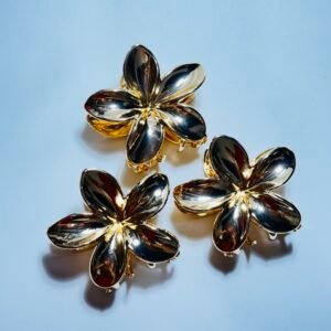 Alternative view of Piranha  flor de ferro 2